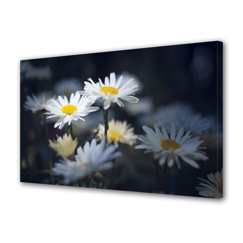 Tablou Canvas Margarete in umbra, 80 x 160 cm Tablou Canvas Margarete in umbra, 80 x 160 cm
