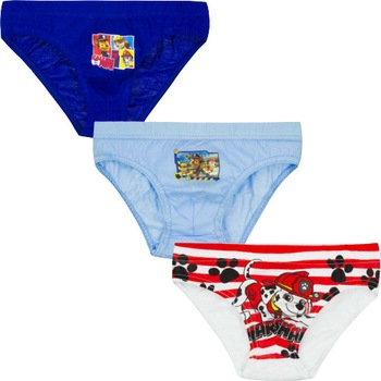 Set 3 chiloti baieti, Paw Patrol, Multicolor Set 3 chiloti baieti, Paw Patrol, Multicolor