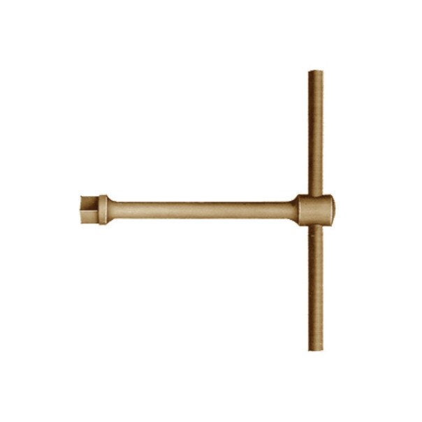 Antrenor parghie glisanta 1/2