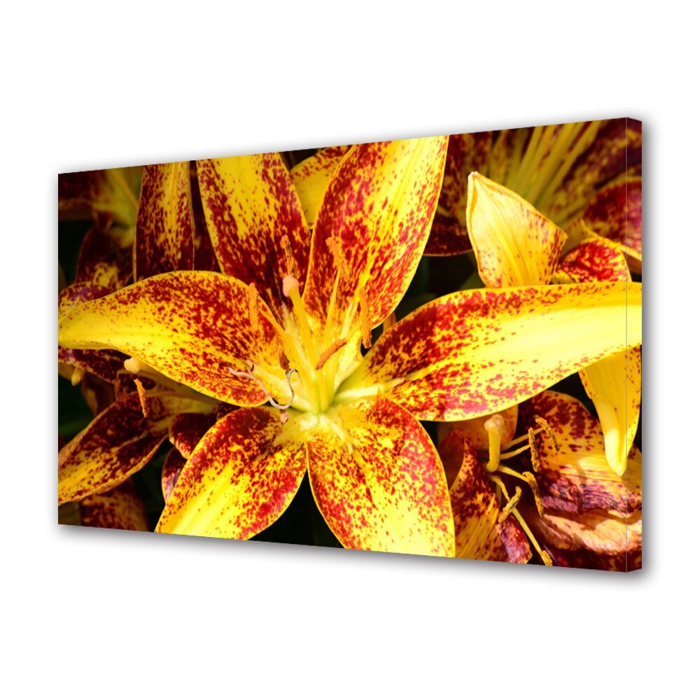 Tablou Canvas Liliac asiatic, 80 x 120 cm - eMAG.ro