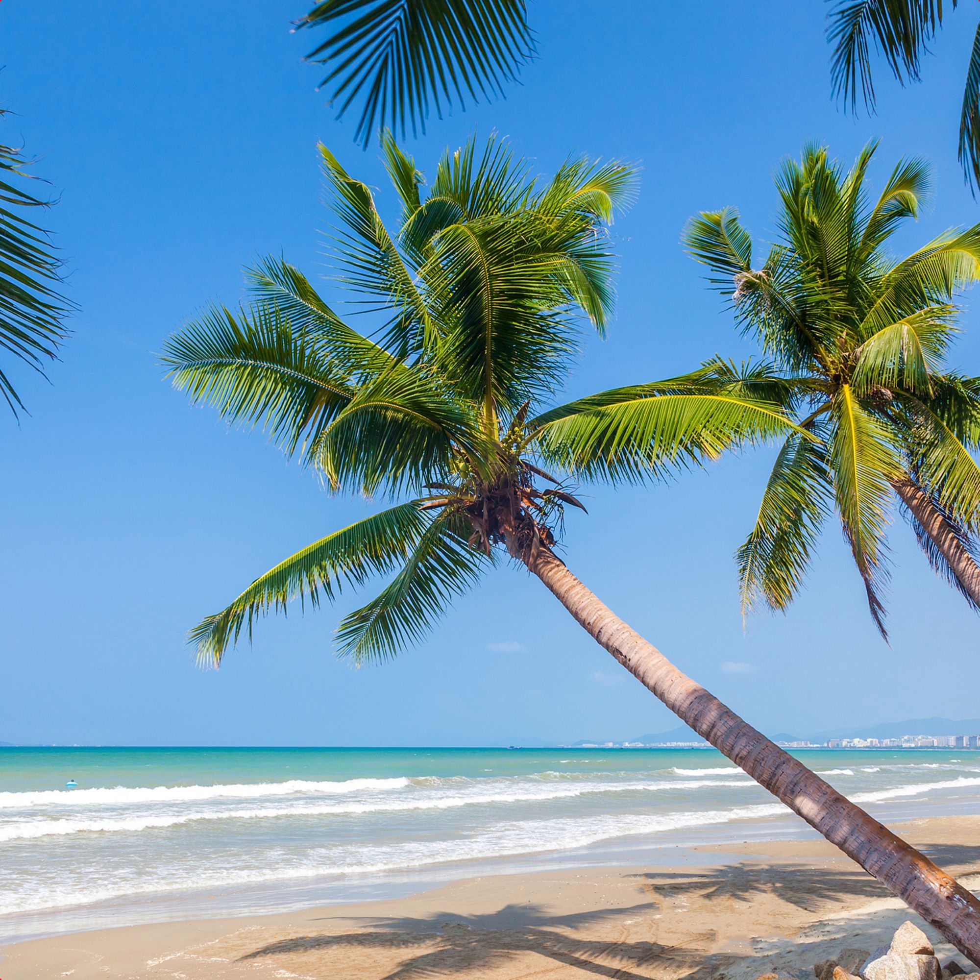 Tablou canvas,model palmierii,plaja si nisip ,dimensiune 30 x 30 cm