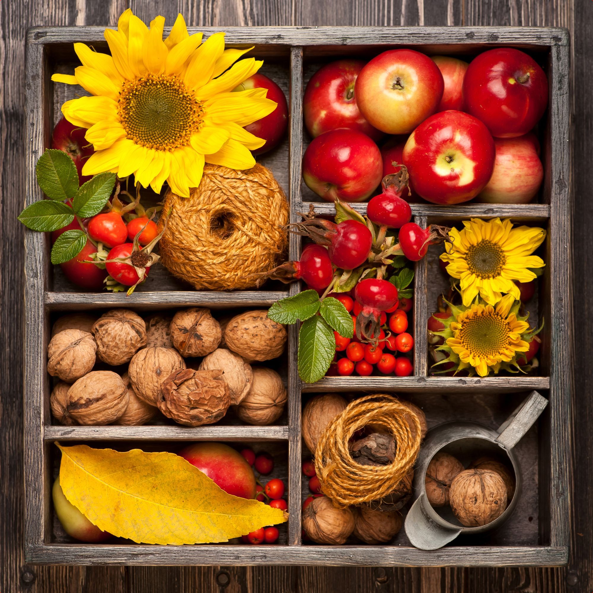 Tablou canvas,model toamna,nuca,floarea soarele,dimensiune 40 x 40 cm