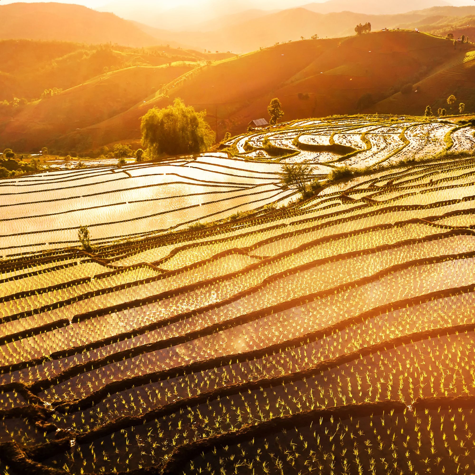 Tablou canvas,model peisaj pitoresc ,dimensiune 30 x 30 cm