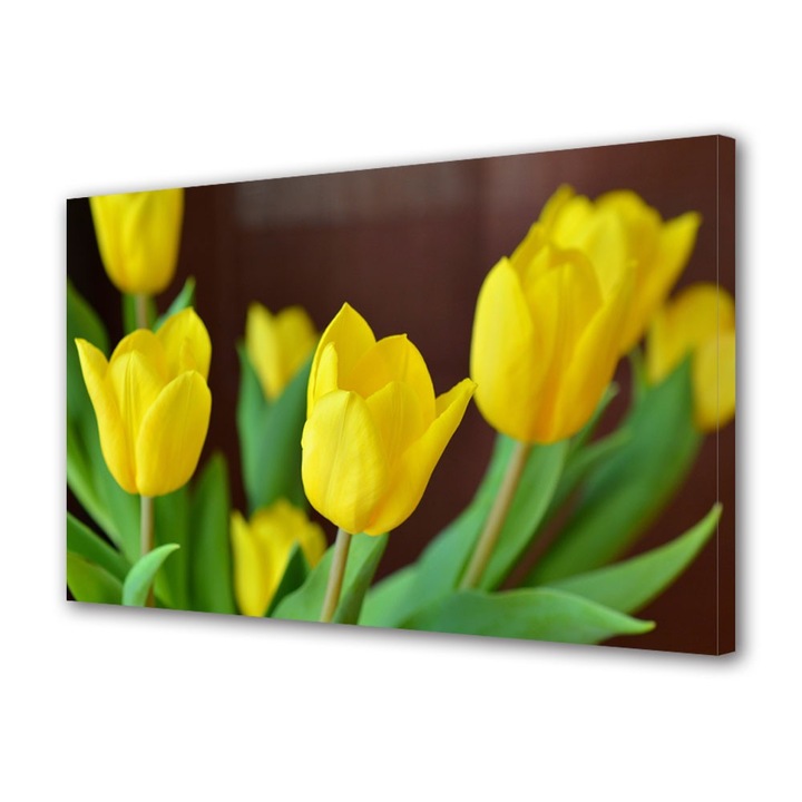 Tablou Canvas Lalele galbene, 50 x 70 cm