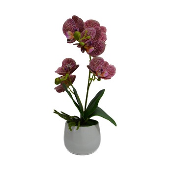 Orhidee artificiala cu aspect natural in ghiveci ceramic rotund, 35 cm, fucsia Orhidee artificiala cu aspect natural in ghiveci ceramic rotund, 35 cm, fucsia