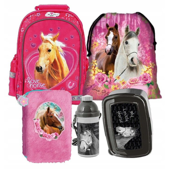 Sec rucsac scoala, cal, penar, geanta pliabila incaltaminte, cutie pentru alimente, sticla de apa, multicolor