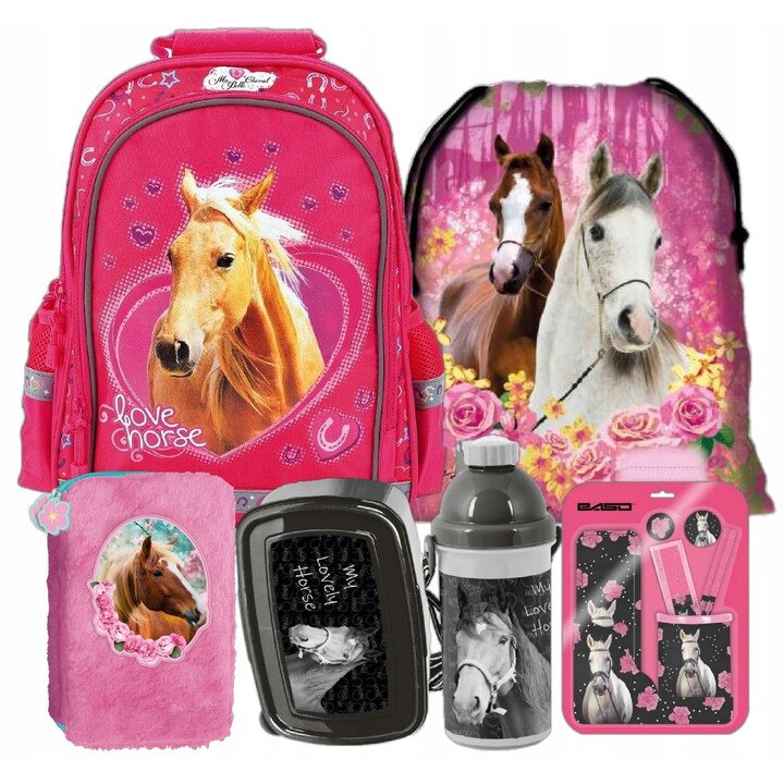 Sec rucsac scoala, cal, penar, geanta pliabila incaltaminte, cutie pentru pranz, sticla de apa, accesorii, multicolor