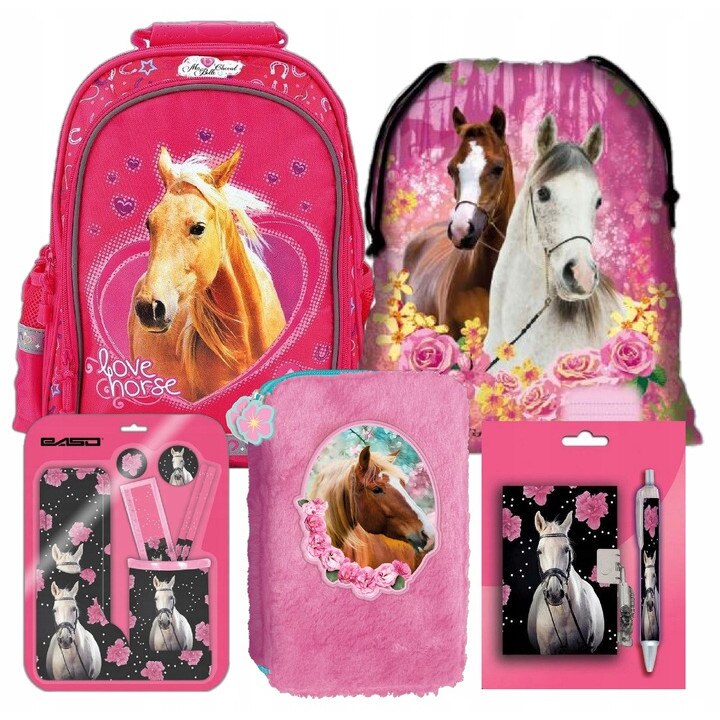 Sec rucsac scoala, cal, penar, geanta pliabila incaltaminte, cutie pentru pranz, sticla de apa, caiet, pix, multicolor