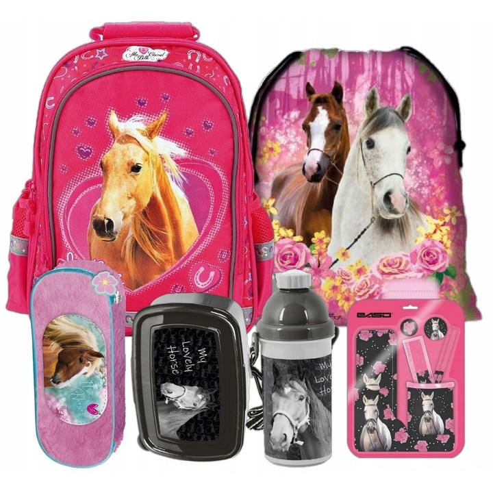 Sec rucsac scoala, cal, husa, geanta pliabila incaltaminte, cutie pentru pranz, sticla de apa, accesorii, multicolor