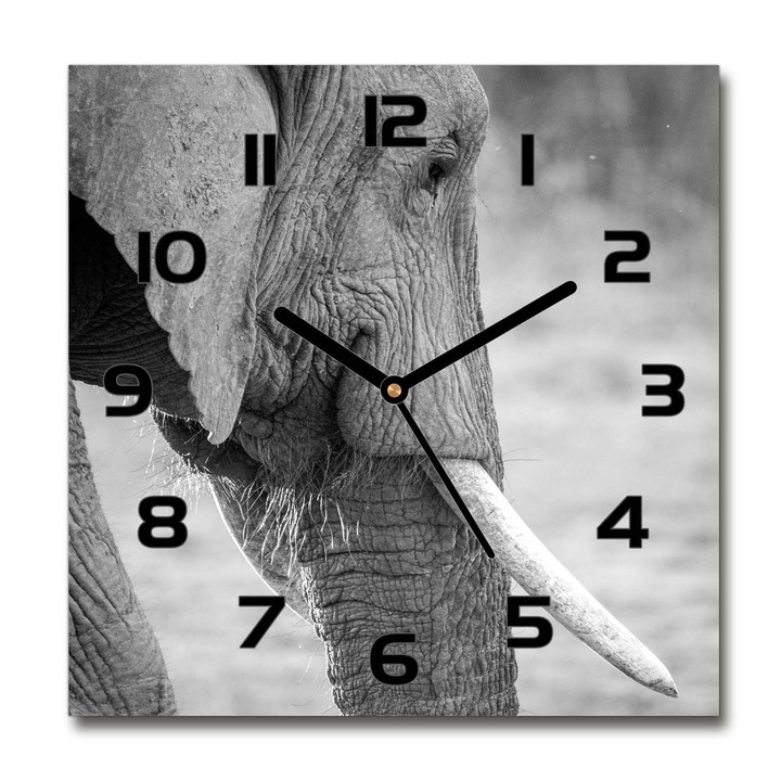 Dekor órá, Tulup, elefánt, 30x30 cm