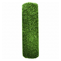 plasa paravan imitatie gard viu 12 m x 10 m imagen 36_0_
0