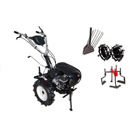 pachet techoworker motocultivator hb 700 rs pro cu accesorii plug cartofi roti metalice 48 prasitoare roti cauciuc 510 rsp053311 imagen 18_0_
0