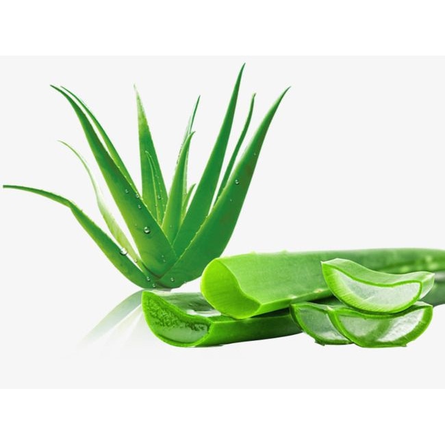 Dacia Plant Aloe vera, 60 comprimate