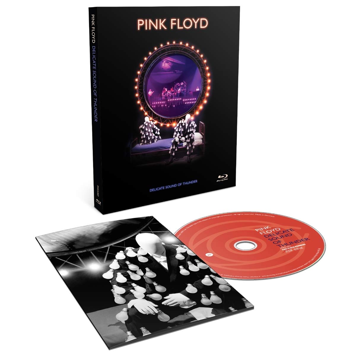 Pink Floyd-Delicate Sound Of Thunder-BD