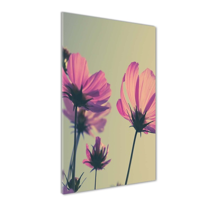 Tablou pe sticla, Tulup, Imagine imprimata sticla, flori roz, 60x120 cm