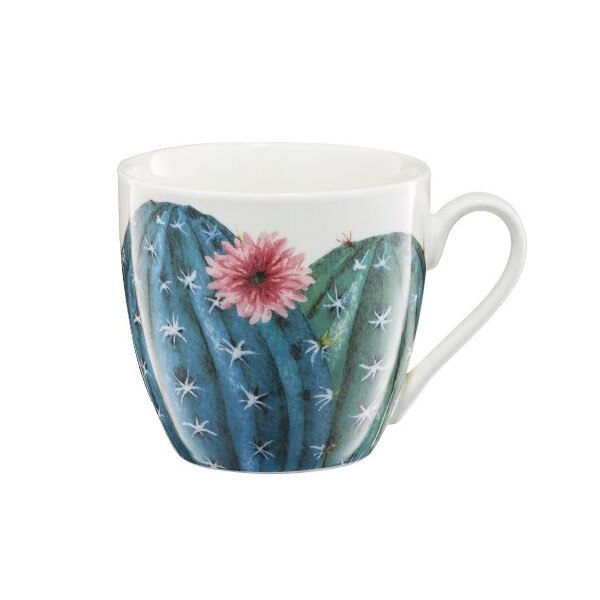 Cana Ambition Cactus 510 ml