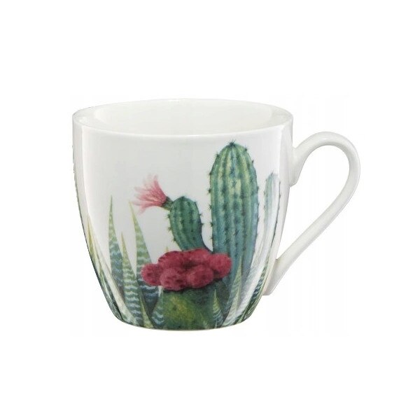 Cana Ambition 510ml Aloes Cactus