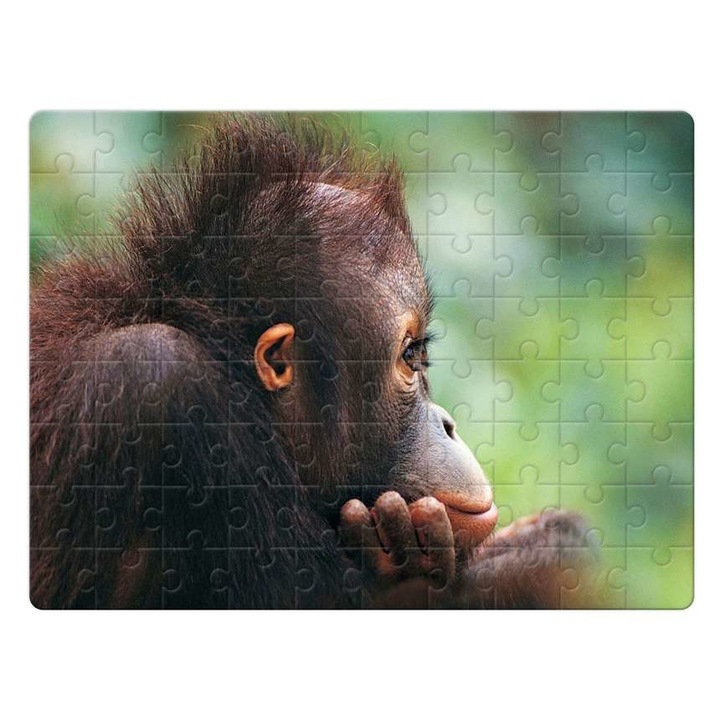 Cuki kis majom 3322 puzzle 80 darabos