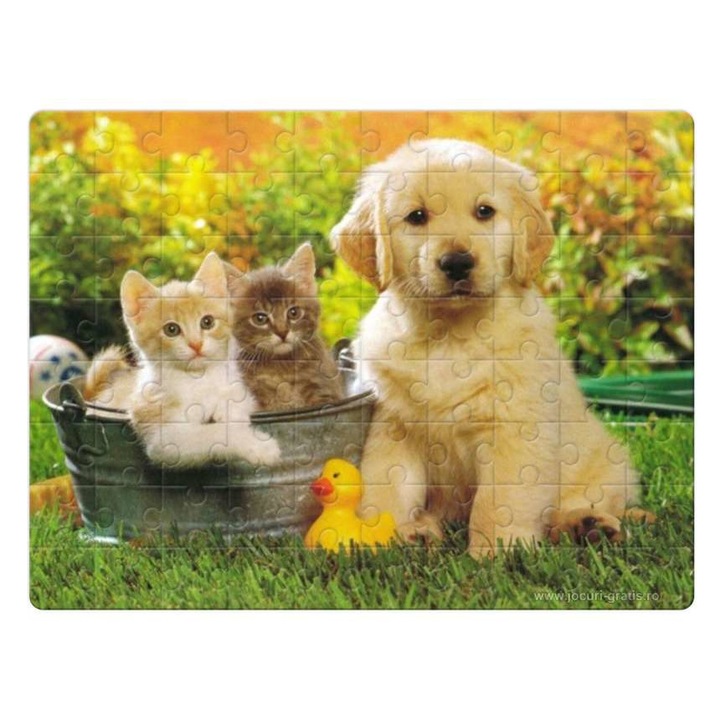 Kutya macska barátság 1422 puzzle 80 darabos