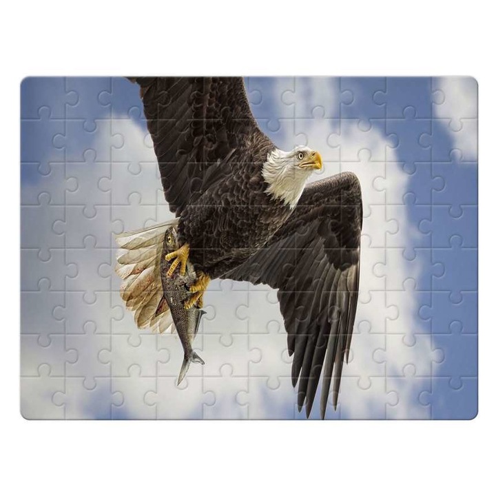 Sas madár 10422 puzzle 80 darabos