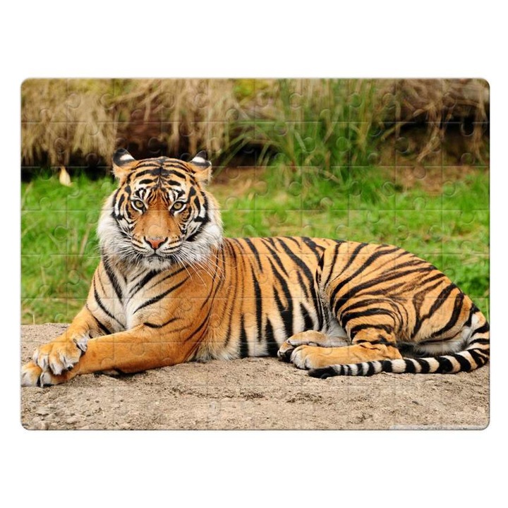 Пъзел Тигър 11222 80 части