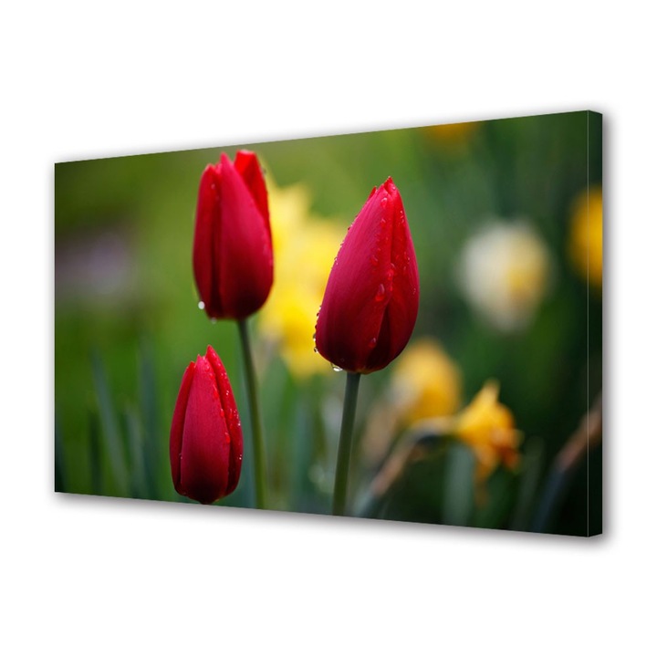 Tablou Canvas Trei lalele frumoase, 80 x 160 cm