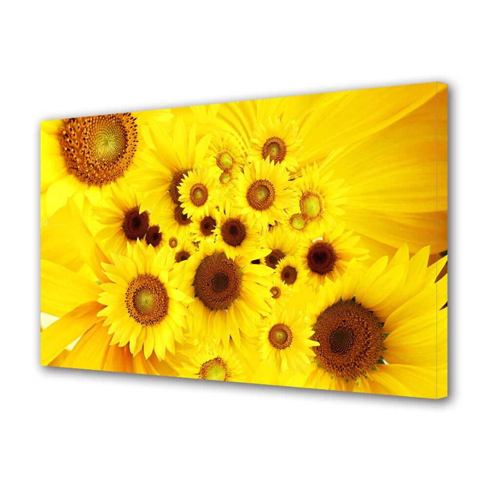 Tablou Canvas Pui de floarea soarelui, 80 x 160 cm