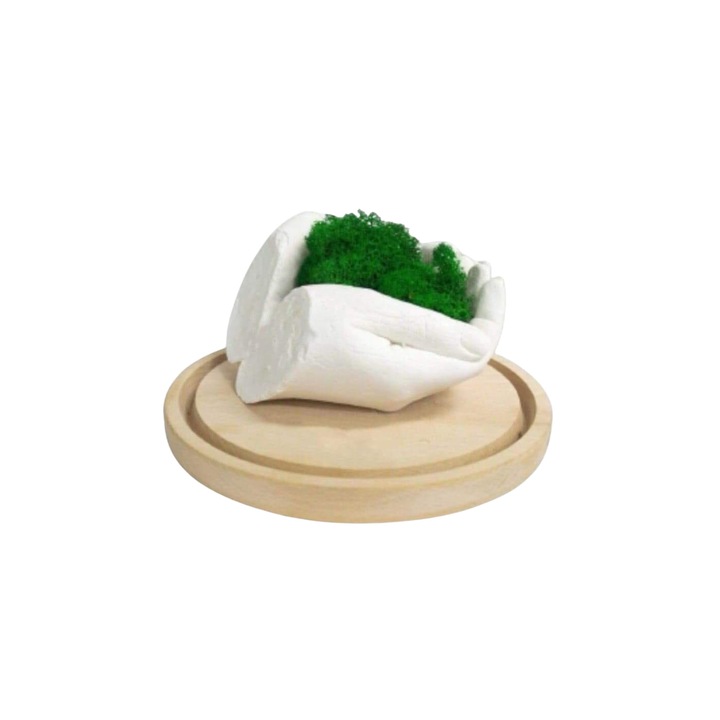 Kit mulaj pentru 2 maini 3D cu licheni stabilizati Amza Line + suport lemn