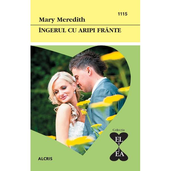 Ingerul cu aripi frante - Mary Meredith