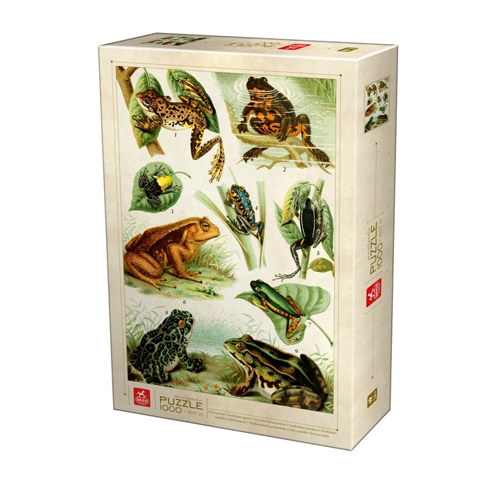 Пъзел Deico - Encyclopedia frogs, 1000 части