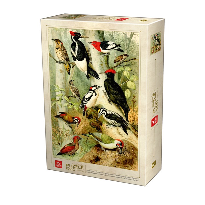 Пъзел Deico - Encyclopedia birds, 1000 части