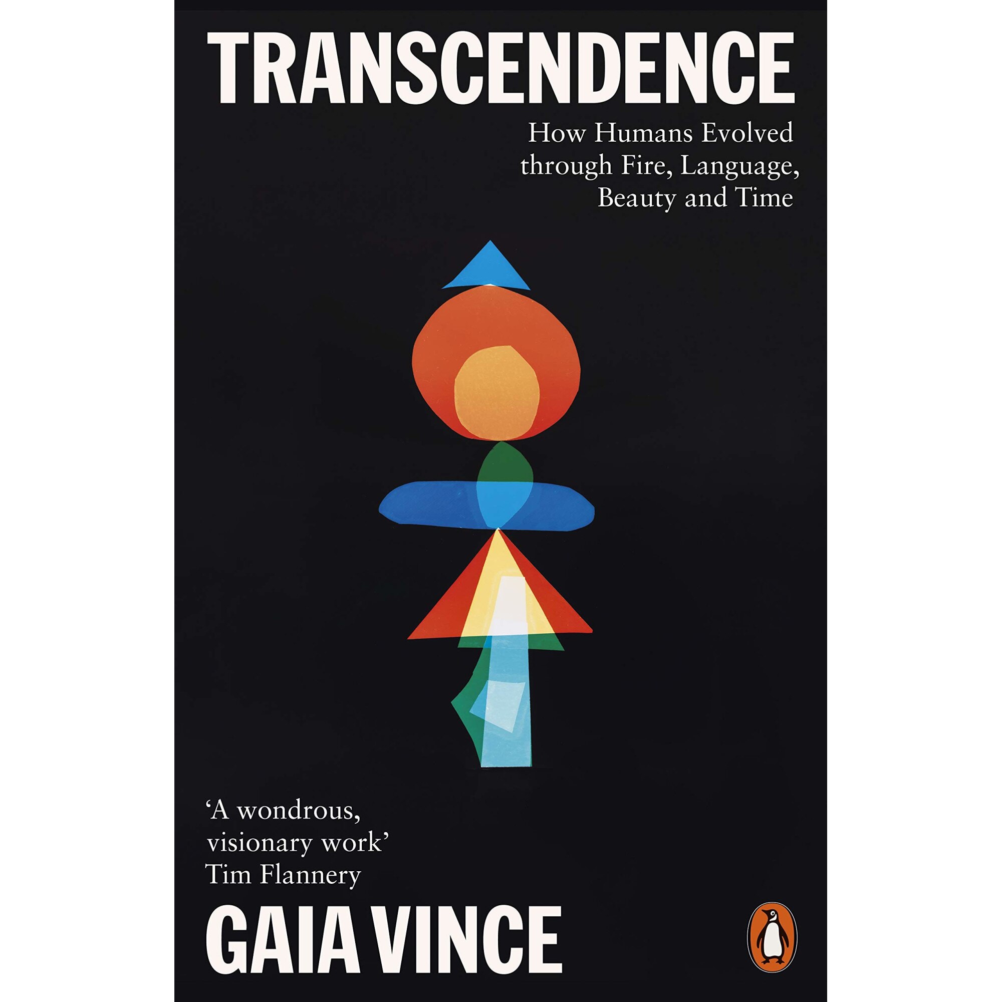 Transcendence - Gaia Vince, ed 2020