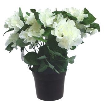 Hortensie Artificiala Alba, in ghiveci Negru, 26x10 cm Hortensie Artificiala Alba, in ghiveci Negru, 26x10 cm