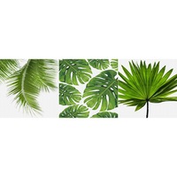 set 3 tablouri canvasmodel frunze verzirelaxaredimensiune totala 90 x 30 cm imagen 50_0_
0