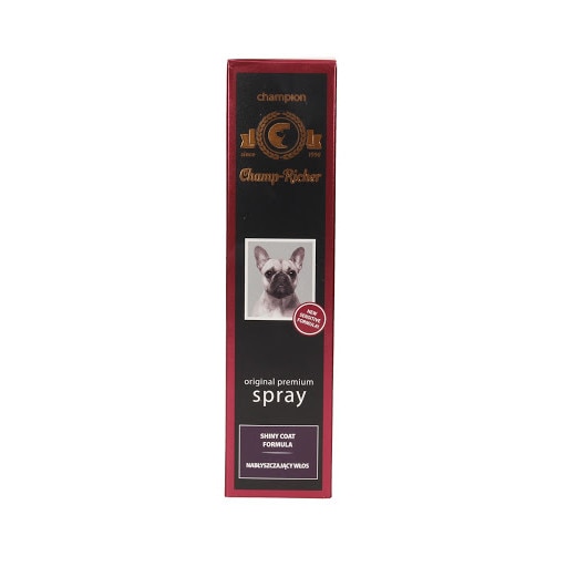 Spray pentru stralucire Champ Richer - 250 ml