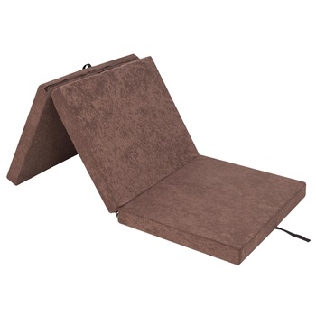 Saltea plianta  Saltea plianta