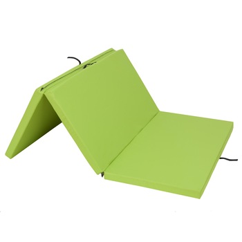 Saltea plianta  Saltea plianta