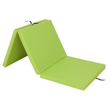 Saltea plianta  Saltea plianta