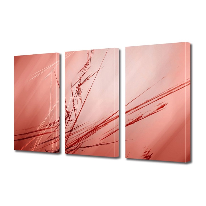Set Tablouri Multicanvas 3 Piese Abstract Decorativ, Abstract, 25 x 45 cm