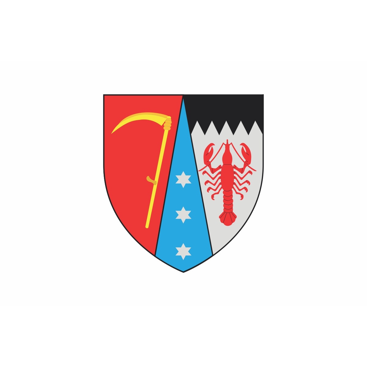 Steag Botosani, IMPRIMAT, Metropolis 135x90 cm