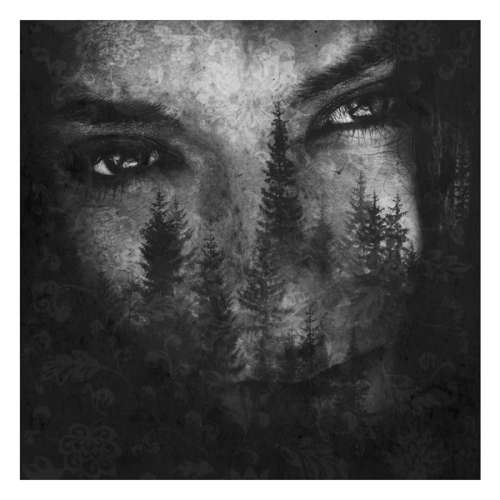 Lustre - Ashes of Light (CD)