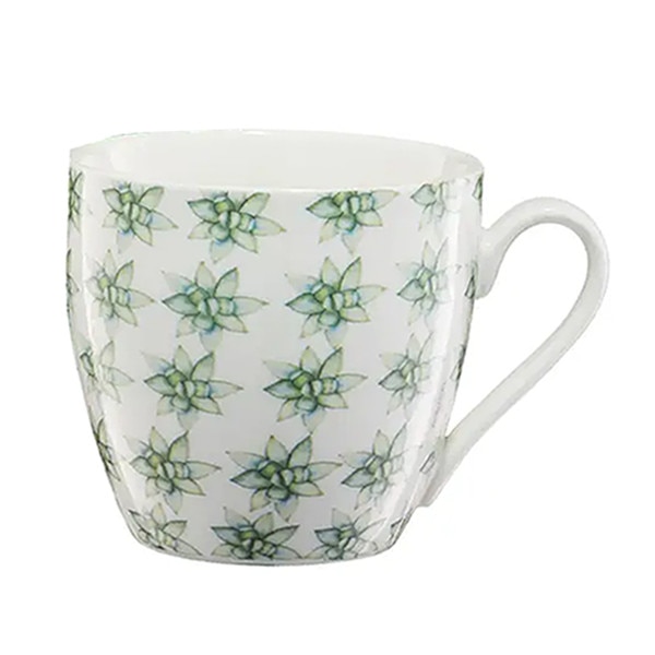 Cana Ambition 510 ml Pattern Cactus