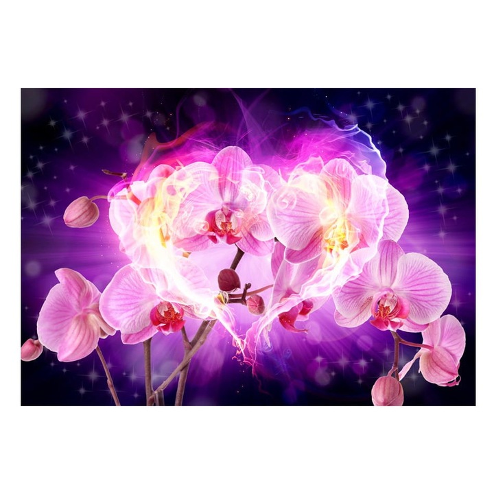 Nem szőtt tapéta nappaliba, hálószobába, lángoló orchideák - 150cm X 105cm, Használati útmutató, ragasztó