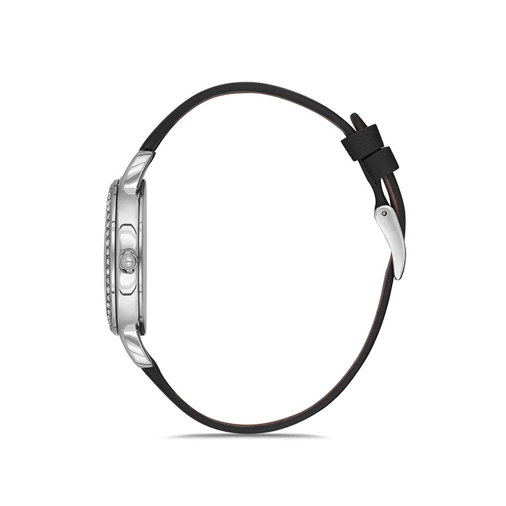 Ceas pentru dama Daniel Klein Premium DK.1.12563.1