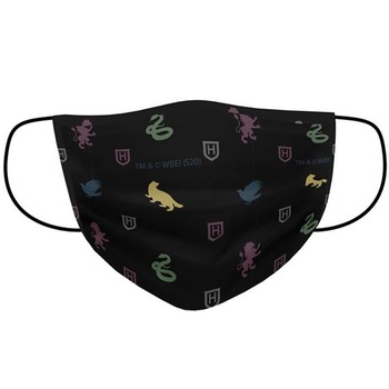 Masca faciala reutilizabila, 11+ ani, Harry Potter, negru Masca faciala reutilizabila, 11+ ani, Harry Potter, negru