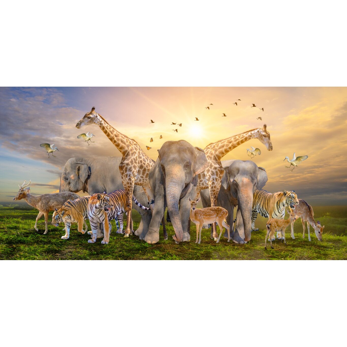 Tablou canvas - Viata animalelor, 100x70 cm