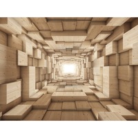 fototapet autocolant pvc  model 3d abstract tunel lemn 120x180 cm imagen 50_0_
0