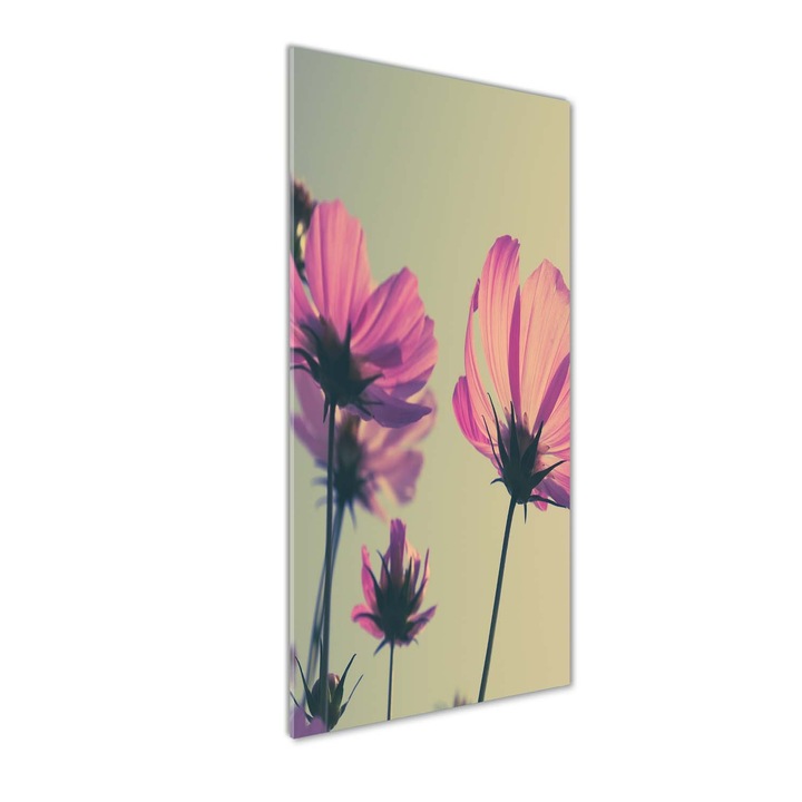 Tablou pe sticla acrilica, Tulup, Imagine imprimata pe sticla acrilica, flori roz, 50x125 cm