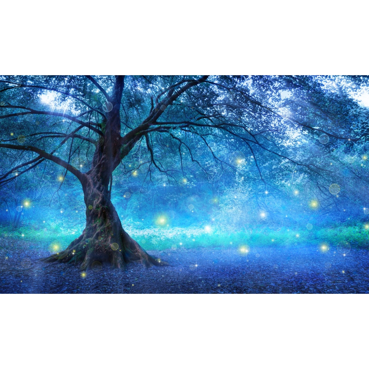 Fototapet autocolant PVC , Padurea fermecata, 250x400 cm