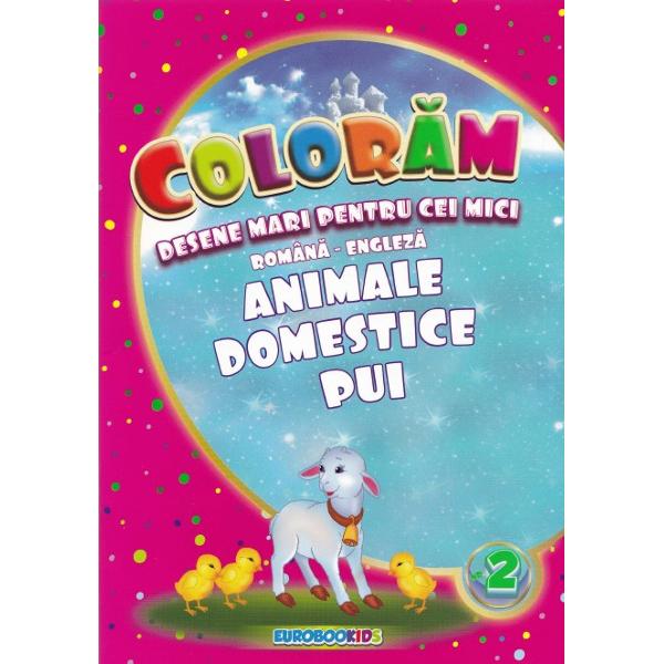 Coloram desene mari pentru cei mici: Animale domestice pui